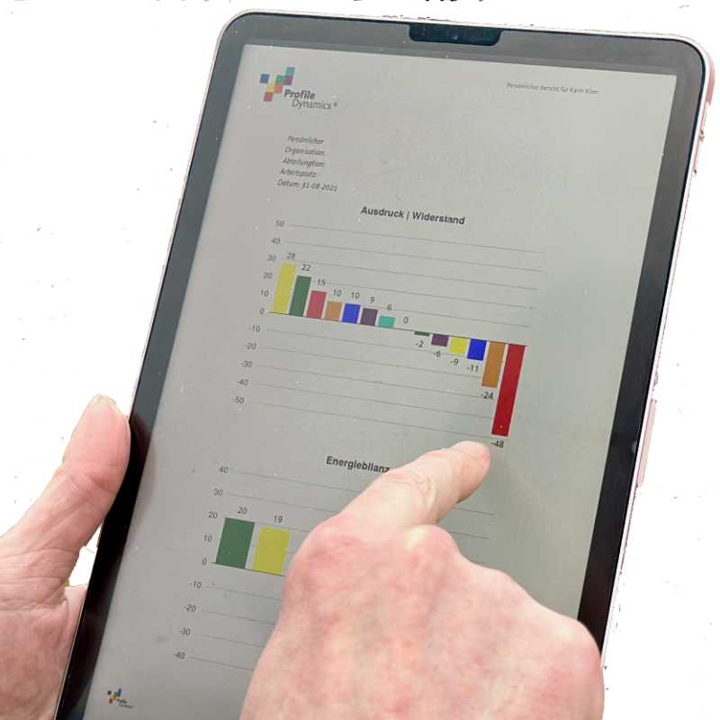 Werte nach Profile Dynamics