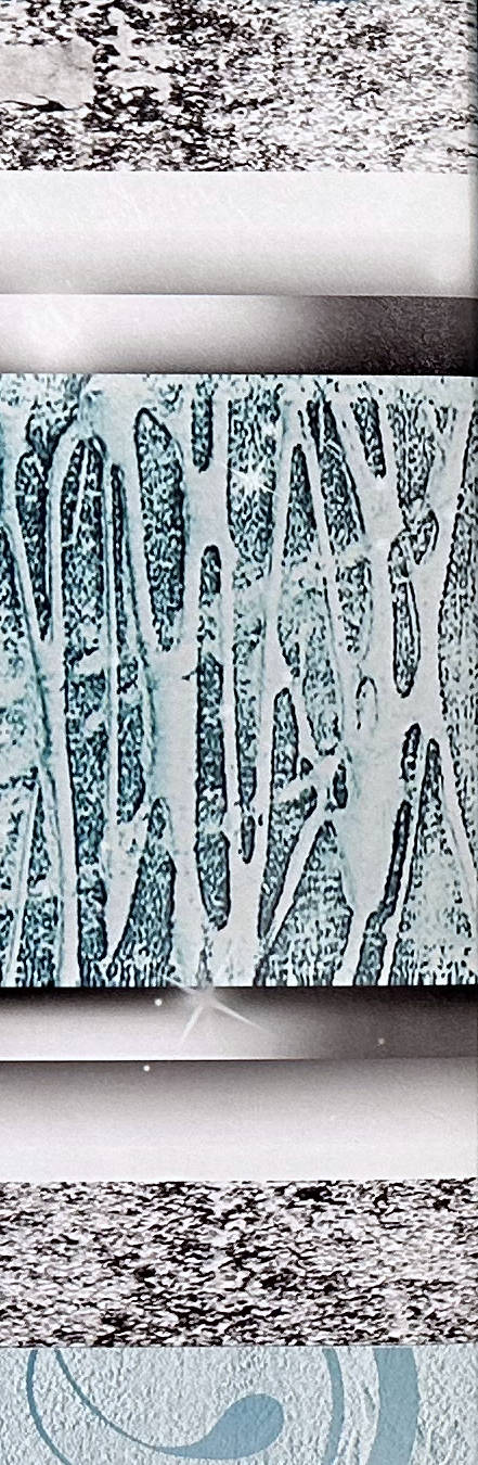 Coaching in München zur Stressbeäwltigung für mehr Resillienz